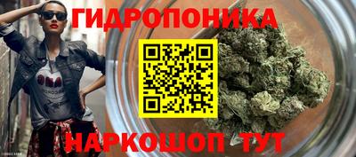 тгк Владивосток