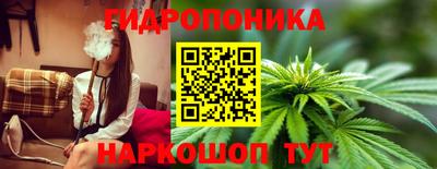 кокс Владимир